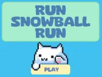 image Run Snowball Run